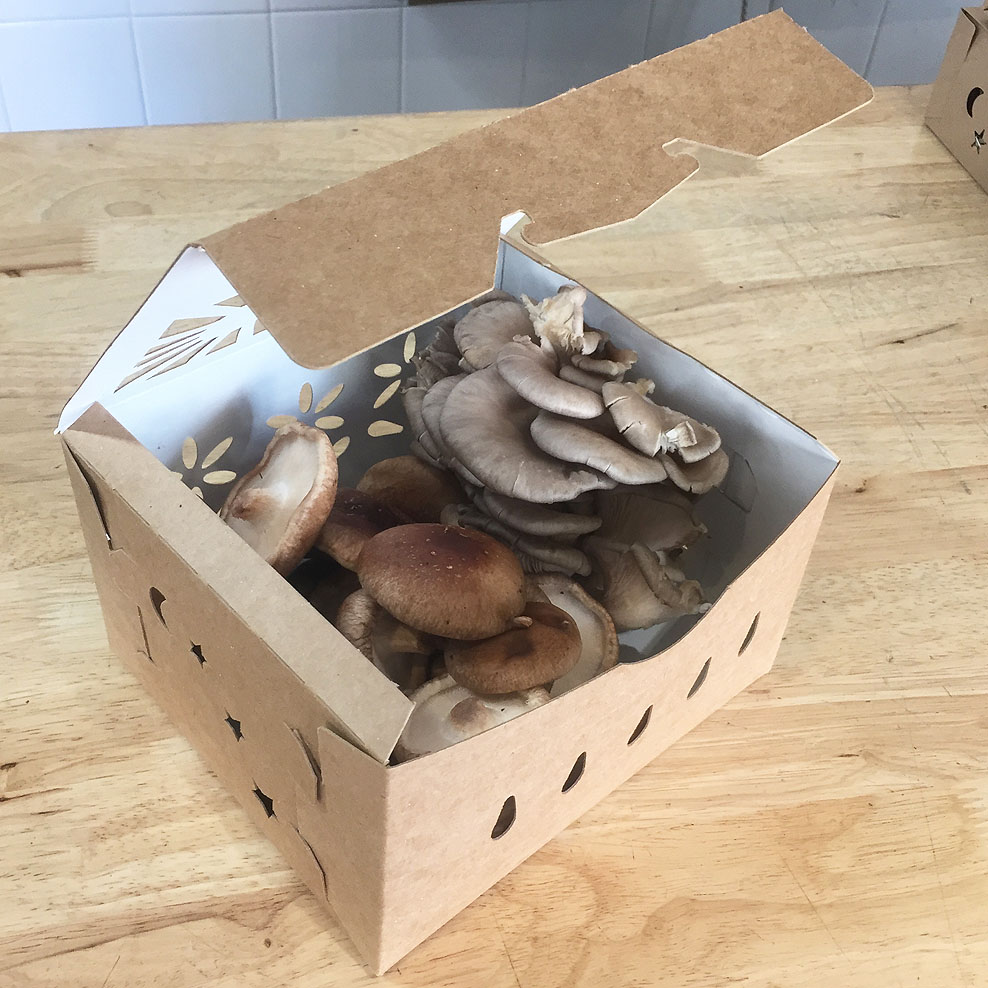 3 quart gourmet mushroom