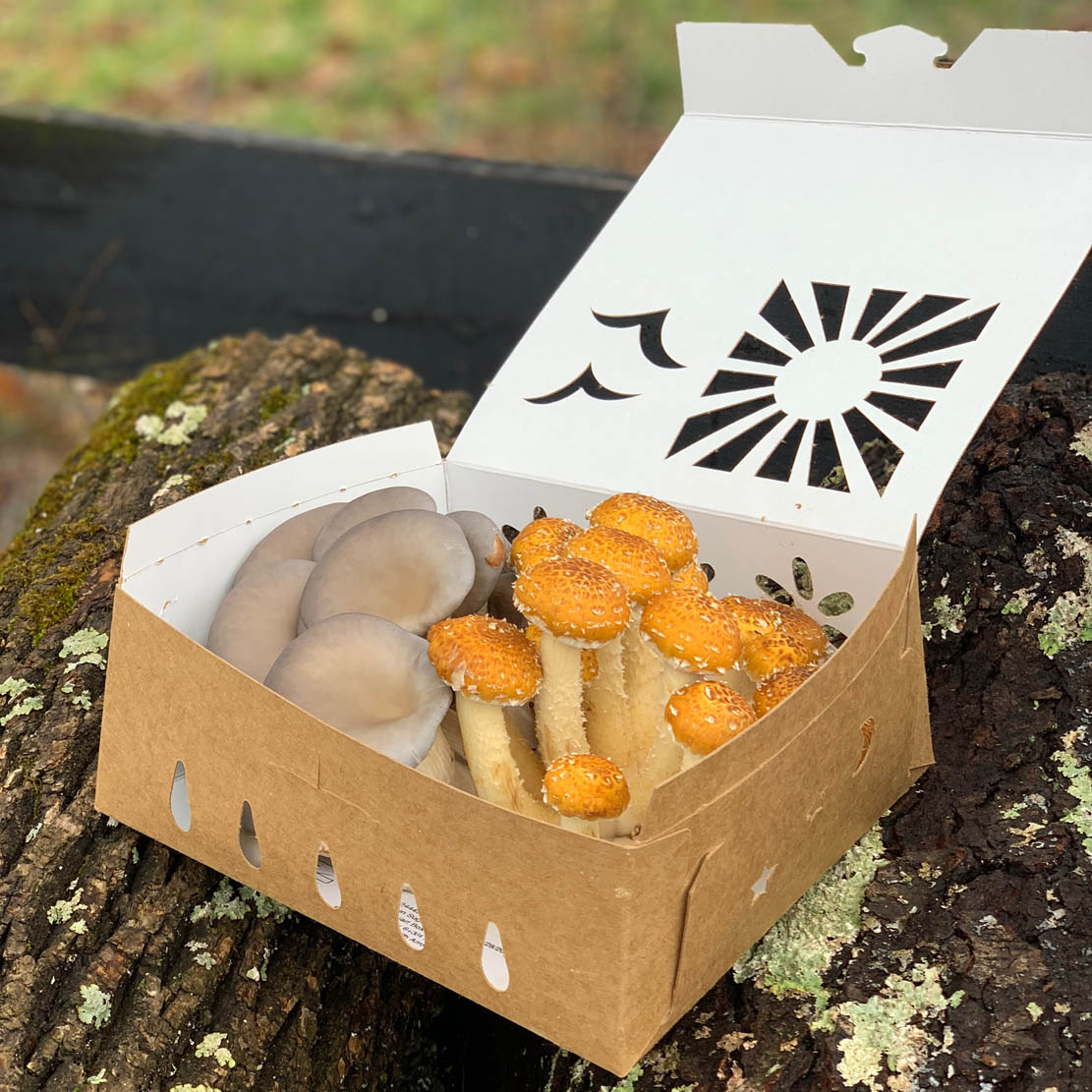 custom food packaging with gourmet mushrooms